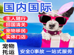 塔城千泉航空运输国际宠物托运 【国